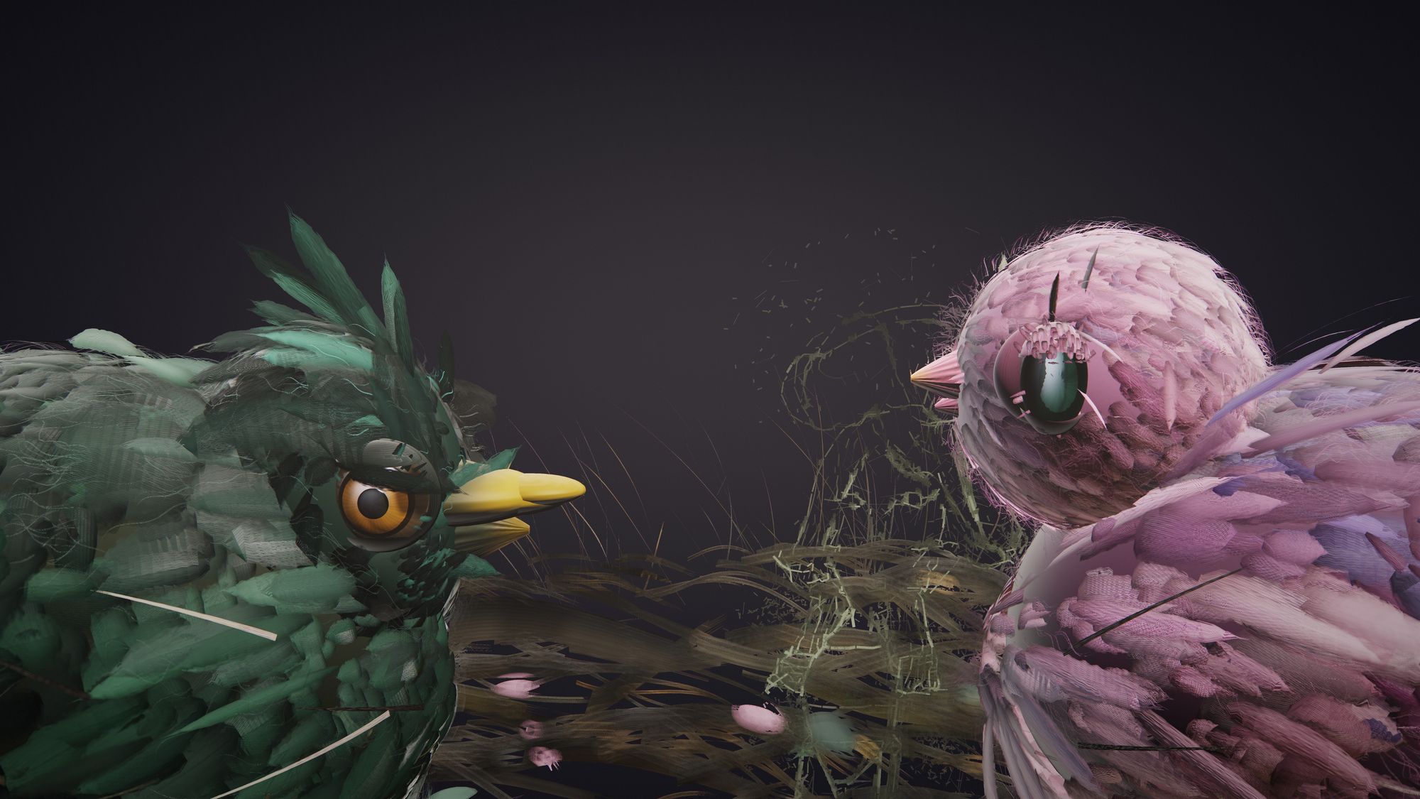 The two birds face to face