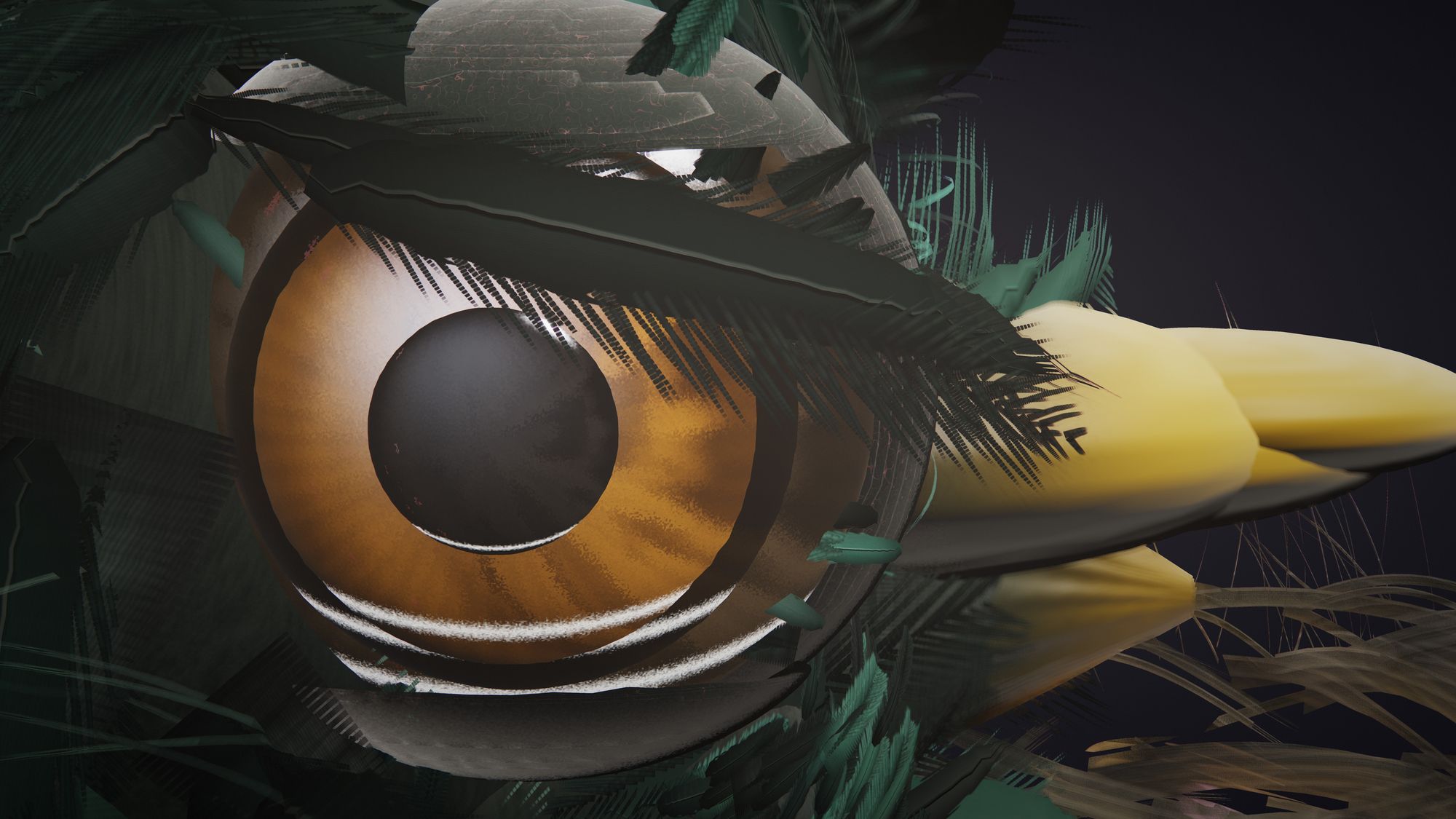 Close view of the dark bird's eye